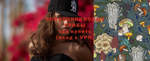 мдпв Сафоново