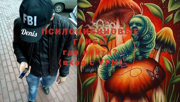 ешки Володарск