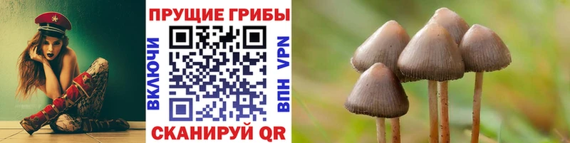 Псилоцибиновые грибы Magic Shrooms дарнет шоп Славянск-на-Кубани